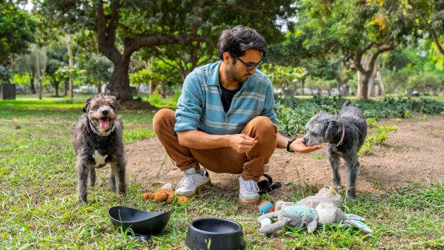 Helping the Community: Humane Society Of The Treasure Coast