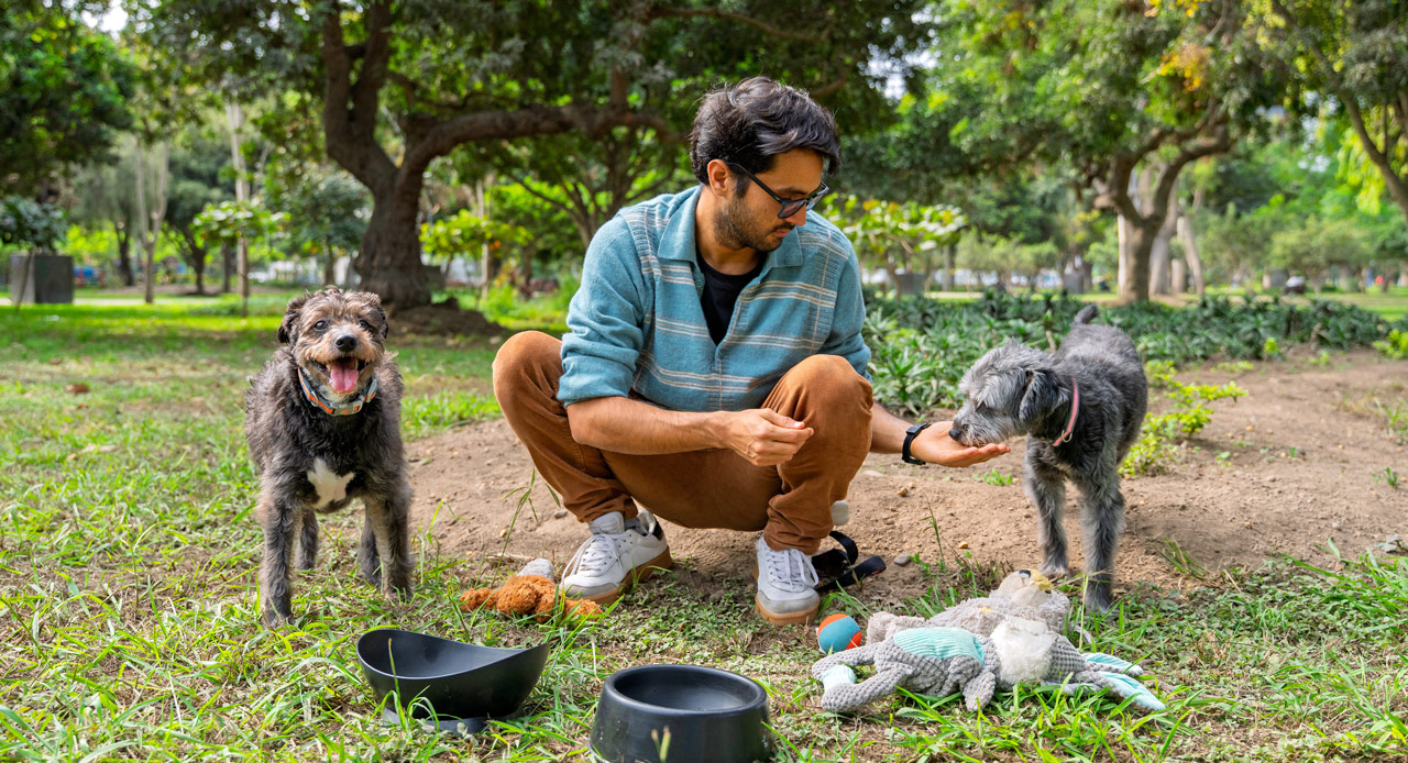Helping the Community: Humane Society Of The Treasure Coast
